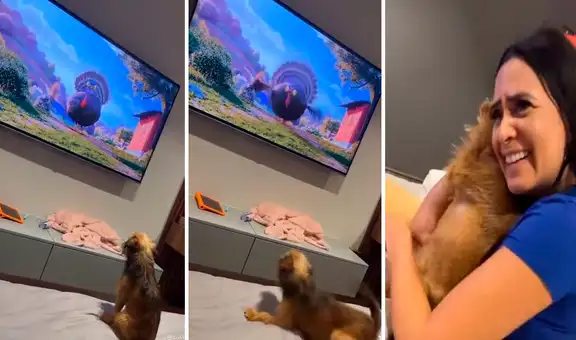 Perro abraza a su dueña al asustarse con una película y cautiva a los usuarios de Facebook