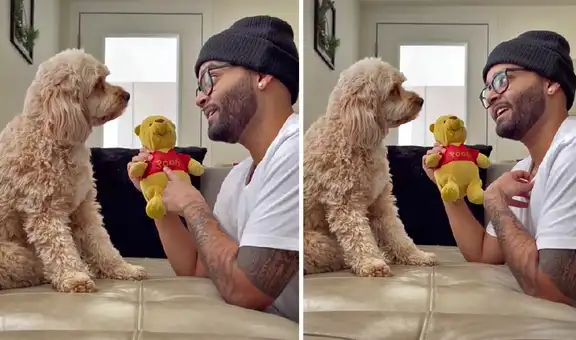 Le pregunta a su perrita si ama más al peluche o a él y su respuesta cautiva a miles en TikTok