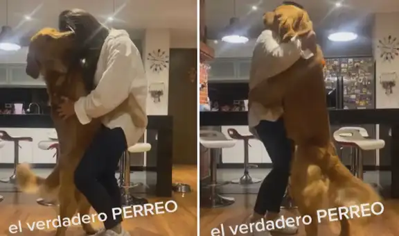 Perro se levanta para ‘sacar a bailar’ a su dueña y realizan divertida coreografía