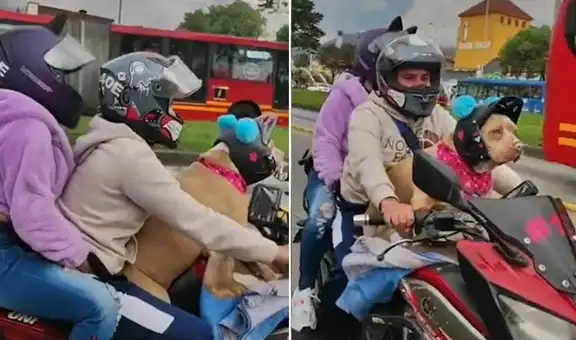Pareja lleva de paseo a su perrita en moto y escena sorprende a miles en TikTok