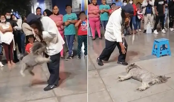 Perrito impresiona con su técnica para ‘hacerse el muertito’ en pleno show callejero