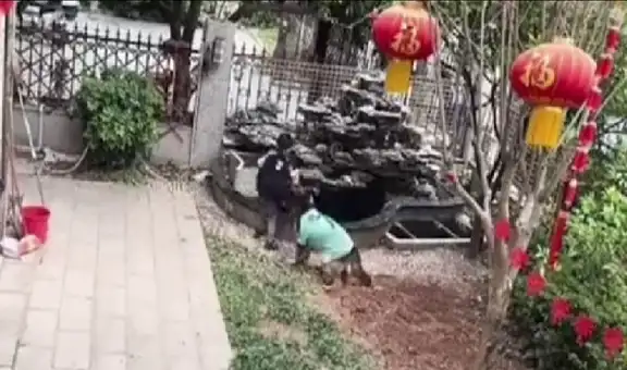 Perrito asombra en TikTok al proteger a sus pequeños dueños y ‘ayudarlos’ a recuperar su pelota