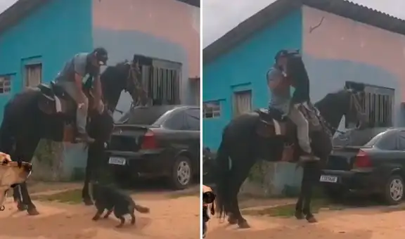 Perro salta a los brazos de su dueño para salir juntos a dar un paseo a caballo