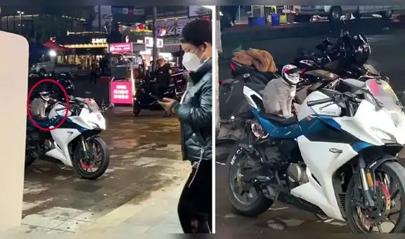 Gatito con su casco espera sentado en la motocicleta hasta que vuelva su dueño