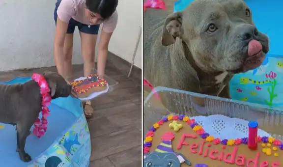 Celebran el cumpleaños de su perrito con una fiesta en la piscina y evento cautiva en TikTok