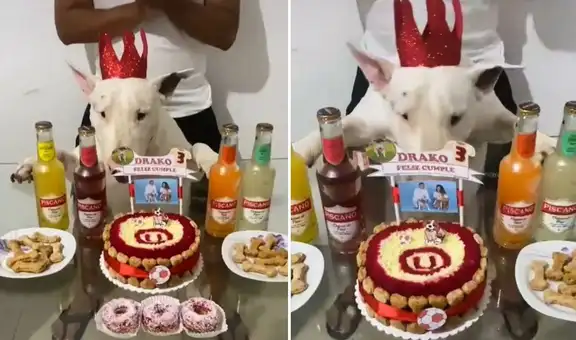 Familia celebra el cumpleaños de su perrito con torta alusiva a Universitario