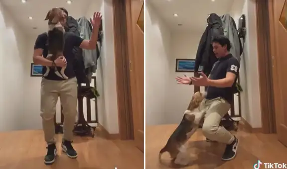 Joven baila salsa con su perrita y juntos protagonizan una coreografía que cautiva en TikTok