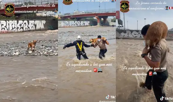 Policías son aplaudidos en TikTok por salvar a un perrito del río Rímac