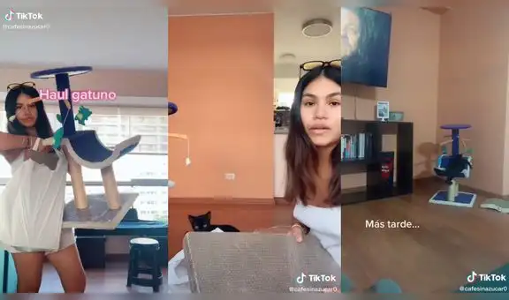 Mujer compra juguetes para que su gatito se distraiga y no la interrumpa mientras trabaja