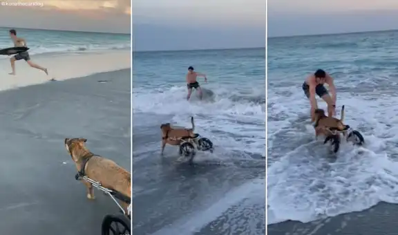 Perrita en silla de ruedas se emociona al ver a su dueño surfear y corre para alcanzarlo