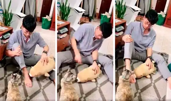 Le muestra a su gato el castigo que le dará si lo vuelve a atacar, pero este lo desobedece 