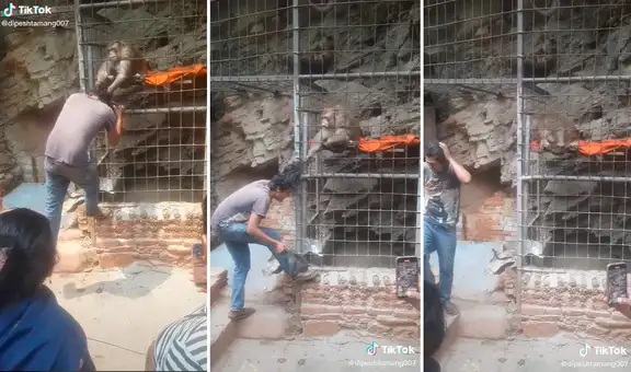 Travieso mono agarra del cabello a turista y se niega a dejarlo en libertad