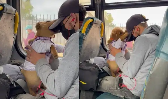 Joven viaja en bus con su perrito y se pone a jugar con él para que no se aburra