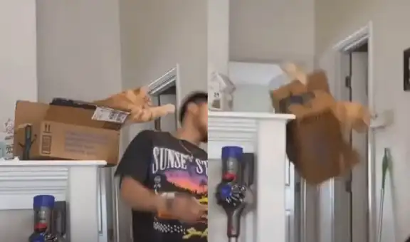Gatito intenta arañar a su dueño desde una repisa, pero se resbala y se termina cayendo
