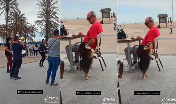 Perrito se pone a bailar al escuchar pegajosa canción de músicos callejeros