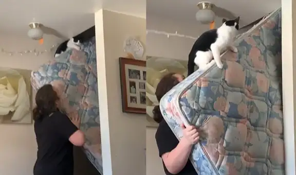 Joven ordena su habitación y al intentar mover su colchón recibe ‘ayuda’ de su gato