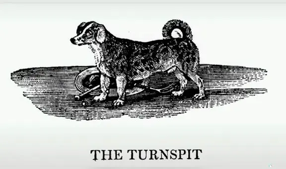 Turnspit, la historia de una raza de perro que se extinguió por culpa de la acción humana