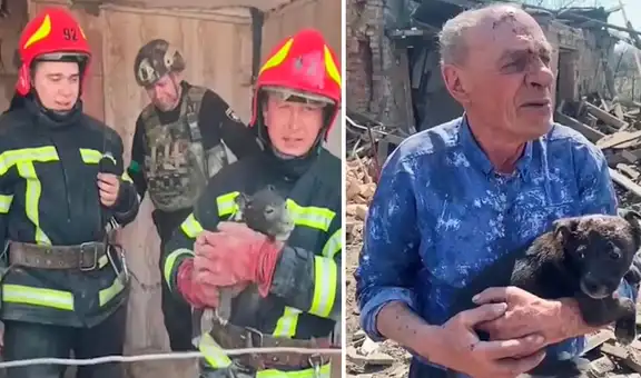 Bomberos rescatan a perros de casa bombardeada en Ucrania y lo reúnen con su dueño