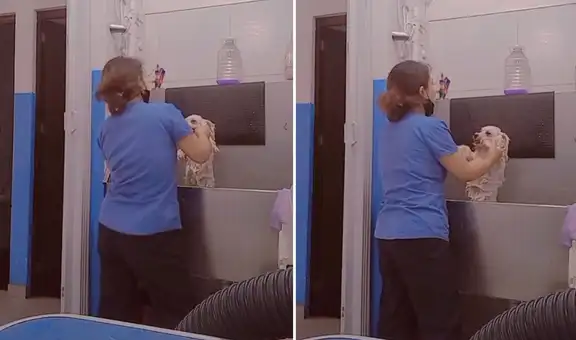 Joven baila “Envolver” con un perrito mientras lo baña y escena divierte en TikTok