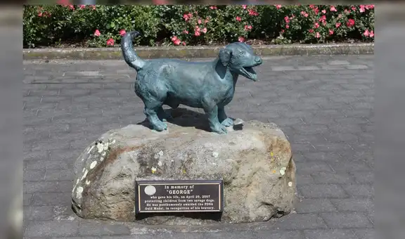George, la historia del perro que dio su vida para salvar a 5 niños de unos pitbulls