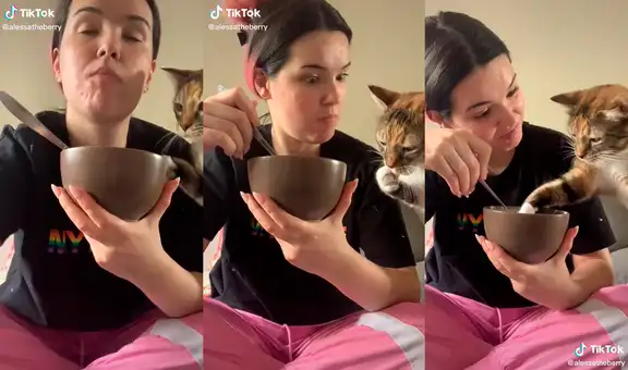 Gatita sorprende a su dueña al meter su pata dentro de su plato de cereal para extraer yogurt