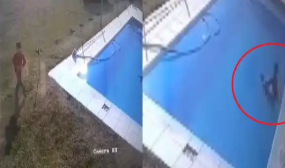 Niño de 5 años sorprende al salvar a su perrito de morir ahogado en una piscina
