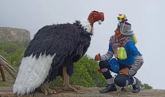 ¿Quién está detrás del ‘Cóndor humano’, el personaje que causa furor en el Valle del Colca?