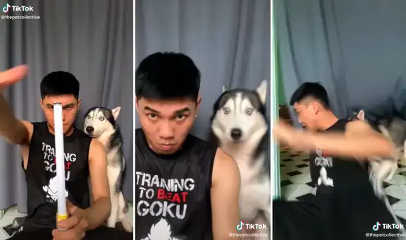 Perro se sorprende al ver que su dueño hizo ‘desaparecer’ su huincha