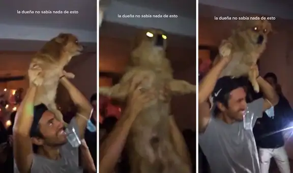 Joven se entera que sus amigos fueron a una fiesta con su perro para ‘bailar’ con él