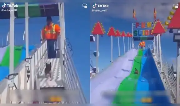 Hombre ayuda a un perrito para que suba al tobogán y se divierta como un niño