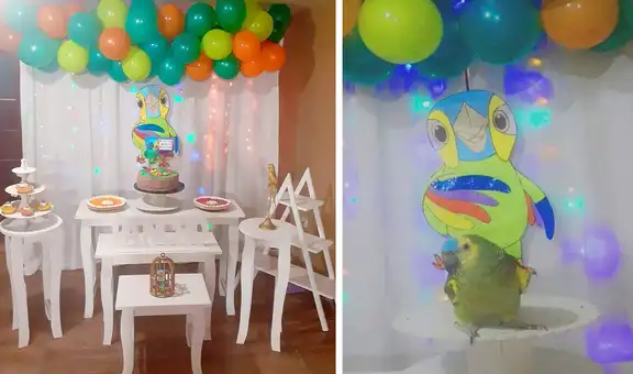 Familia arma una gran fiesta en casa para celebrar el primer cumpleaños de su loro 