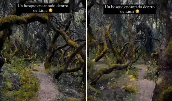 Descubre el Bosque del amor de Lima, un lugar que cautiva a miles de visitantes