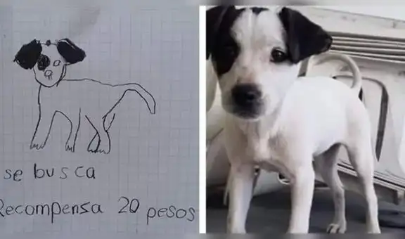 Niñas publican anuncio con un dibujo de su perrito perdido y logran encontrarlo 