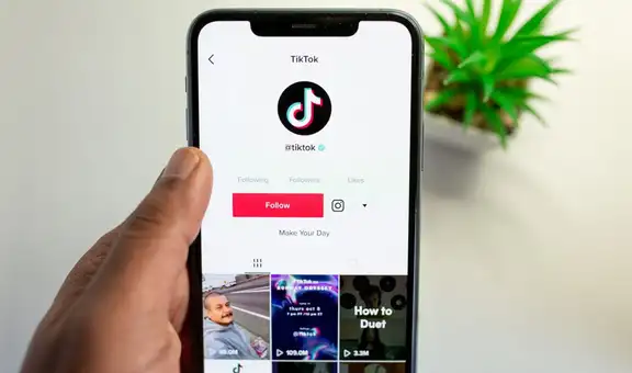 ¿Cómo descargar videos de TikTok sin marca de agua?