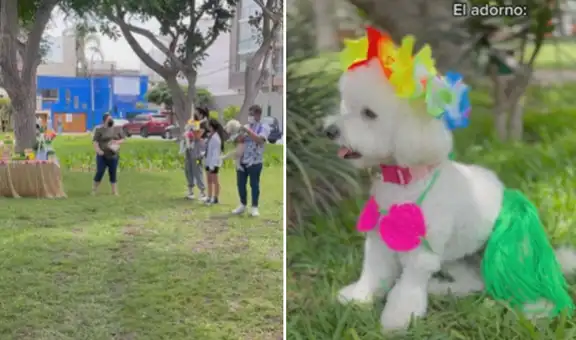 Lleva a su perrita a fiesta temática hawaiana y canina deslumbra con su atuendo
