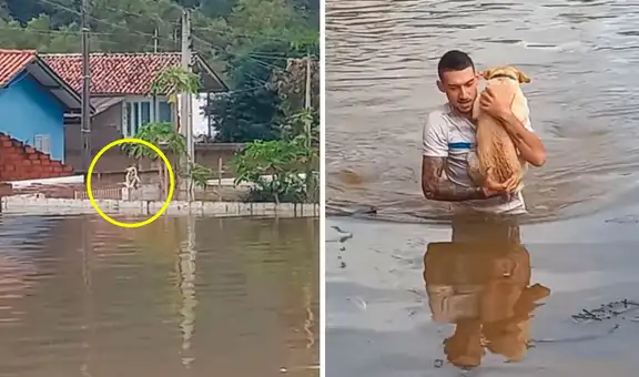 Hombre arriesga su vida para salvar a un perro que quedó atrapado en una fuerte inundación