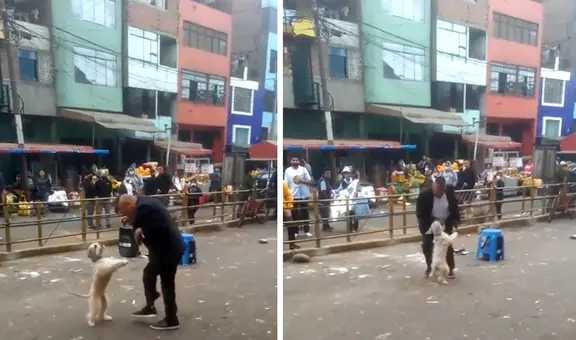 Perrito sorprende con singulares pasos de baile junto a su dueño en show al ritmo de salsa