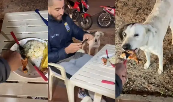 Joven tomaba foto a su comida, pero su amigo le quita su presa y se la regala a perrito callejero