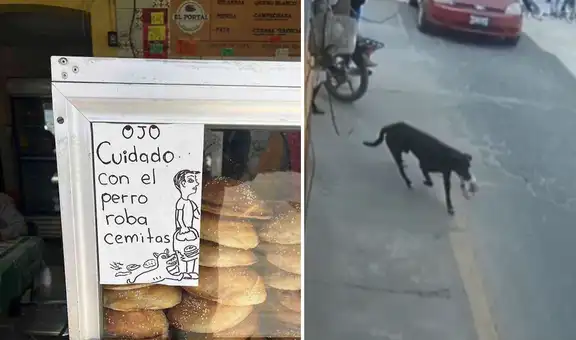 Perro le roba la bolsa de pan a una mujer y se va corriendo para no ser atrapado
