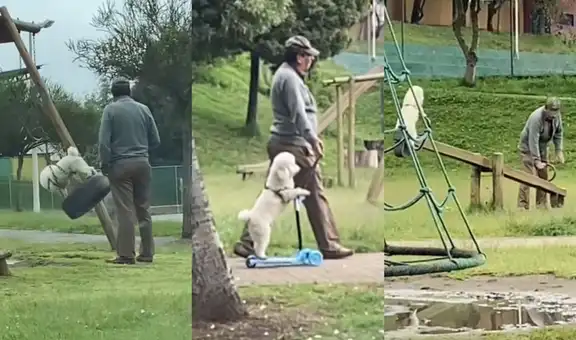 Hombre lleva a su perro al parque y lo deja subirse a los juegos infantiles 