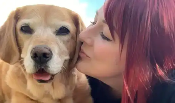 Mujer renuncia a su trabajo para cuidar a su perrita en sus últimos días de vida