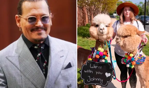Johnny Depp recibió visita de alpacas: ¿qué hay tras esto y qué tiene que ver con Disney+?