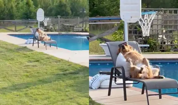 Hombre encuentra al perro de su vecino tomando una siesta con lentes de sol