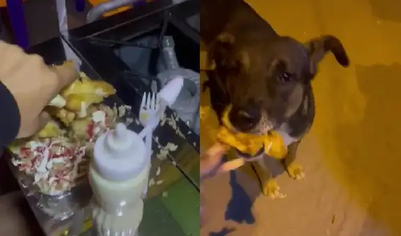 Joven le quita el pollo broaster a su amigo para dárselo a un perrito callejero