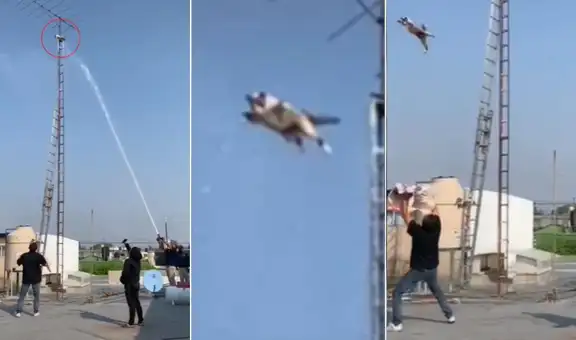 Gatito se trepa a lo más alto de una antena y su singular rescate sorprende en redes