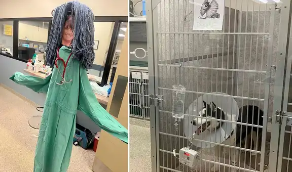 Arman un muñeco con traje de veterinario para acompañar a un perro en cuidados intensivos