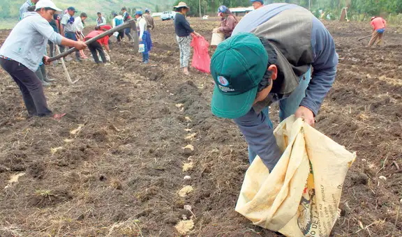 Pedro Castillo dice que darán S/ 1.000 millones adicionales para compra de fertilizantes