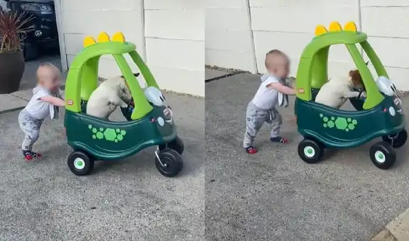 Bebito enternece las redes sociales al llevar de paseo a su perrito en un carro de juguete