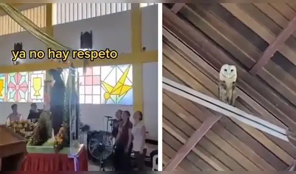 Lechuza sorprende al ‘bailar’ en una iglesia mientras todos los presentes cantaban