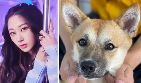 Aespa: Giselle y su donación para animales abandonados conmueve al fandom